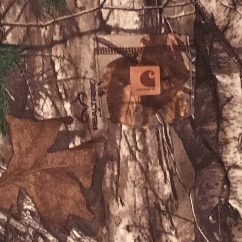 ⛔️SOLD⛔️Carhartt - Picture 2 of 5